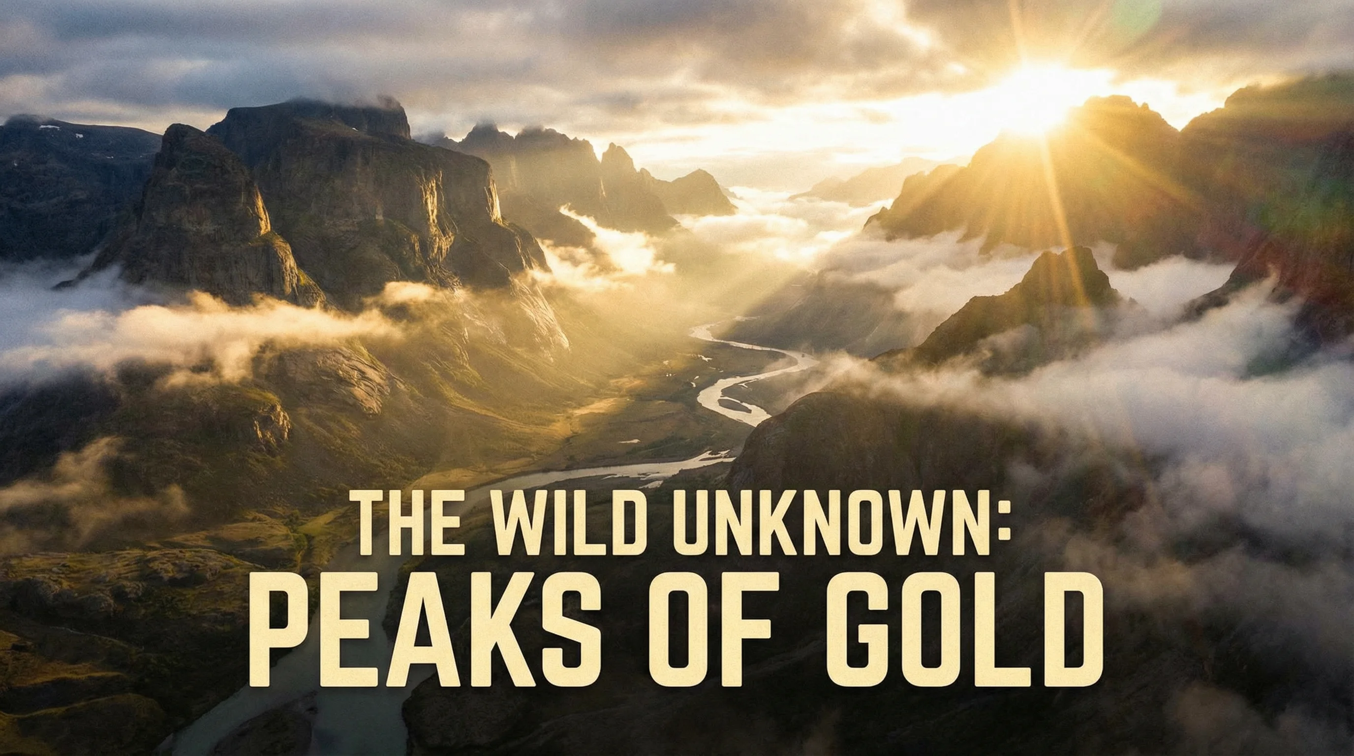 蜜桃视频探花精选内容展示